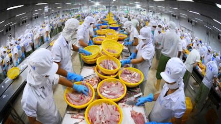 Bà Rịa-Vũng Tàu: Nông, Lâm, Thủy sản sau chế biến - Cơ hội kết nối Cwin Đăng Ký + 1888k
