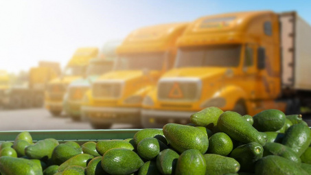 Phát triển dịch vụ Logistics trên địa bàn tỉnh Đắk Nông