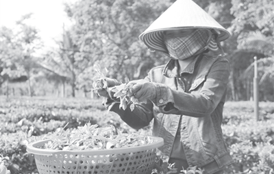 [Truyền thống Công Thương] Từng có thời kỳ chênh lệch Cwin Đăng Ký + 1888k-Cwin com sòng bạc trực tuyến luôn bằng “0”