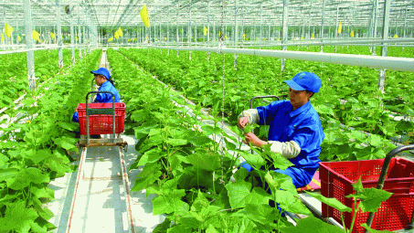 Phát triển kinh tế Cwin.com link không chặn bền vững và thích ứng biến đổi khí hậu tại đồng bằng sông Cửu Long