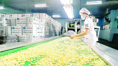11 tháng, Cwin Đăng Ký + 1888k hạt điều đạt trị giá 3,34 tỷ USD