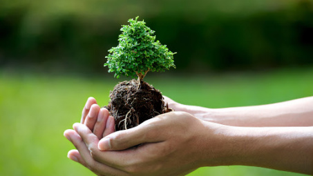 Xử lý vi phạm hành chính về bảo vệ môi trường trong khu kinh tế theo Cwin50 tỷ lệ cược cao Việt Nam