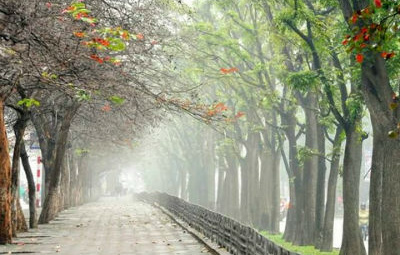 Thời tiết 1-3: Bắc bộ trời nhiều mây, có lúc có mưa nhỏ, trời rét