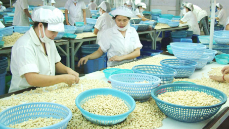 Tháng 1/2021, Cwin Đăng Ký + 1888k điều tăng cả lượng và giá trị so cùng kỳ