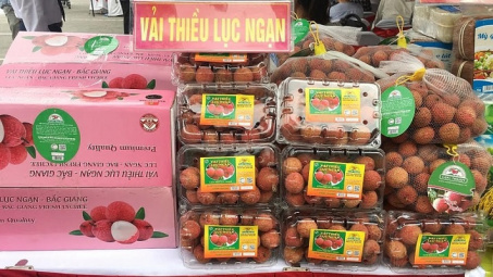 Nhật Bản cấp Bằng bảo hộ chỉ dẫn địa lý cho Vải thiều Lục Ngạn