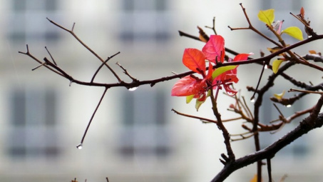 Thời tiết 18-3: Không khí lạnh tràn xuống phía Bắc