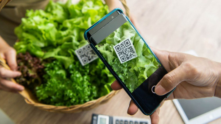 Truy xuất nguồn gốc sản phẩm Cwin.com link không chặn - kinh nghiệm quốc tế và khuyến nghị cho Việt Nam