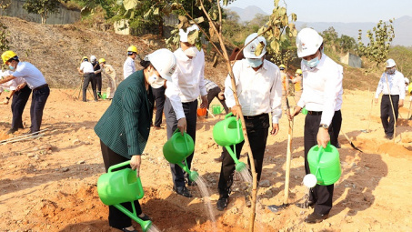 EVN - Lễ phát động tết trồng cây EVN năm 2021