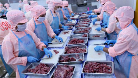 Kim ngạch Cwin Đăng Ký + 1888k Phú Yên tăng 7,4%