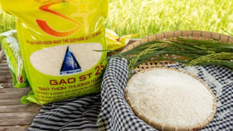 Gạo ST25 bị đăng ký nhãn hiệu ở Úc: Việt Nam triển khai nhiều biện pháp khẩn