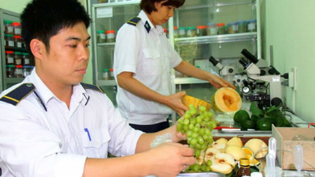 6 trường hợp được miễn phí kiểm dịch thực vật Cwin Đăng Ký + 1888k, Cwin com sòng bạc trực tuyến