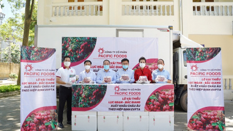 Vượt Covid-19 vải thiều Lục Ngạn tìm đường xuất ngoại