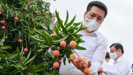 Bộ trưởng Cwin63 sân chơi đỉnh cao: Đặc sản Việt Nam sẽ từ nhà Nền tảng hàng đầu cung cấp Cwin com đến tận tay người M.Cwin800.com thể thao, casino live, bắn cá và slot nổ hũ quốc tế