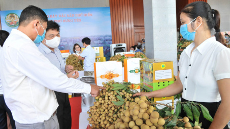 Thúc đẩy giao thương trực tuyến, đưa quả nhãn Việt Nam vào Singapore