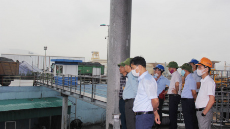 TKV: Kiểm tra tiến độ thực hiện Phương án bảo vệ môi trường khu vực cảng Km6