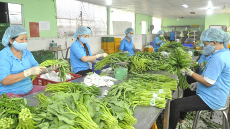 Thị trường nông sản Anh: Nhu cầu lớn nhưng yêu cầu rất cao