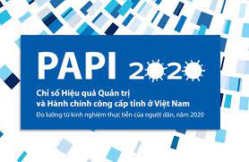 Chỉ số hiệu quả quản trị và hành chính công cấp tỉnh (PAPI) - công cụ theo dõi, giám sát thực thi chính sách hiệu quả