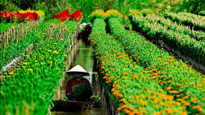 Thực trạng và giải pháp chuỗi cung ứng dịch vụ du lịch nông thôn tại huyện Chợ Lách tỉnh Bến Tre