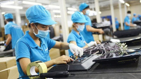 Một số chính sách cần thiết nhằm phát triển ngành Tải về ứng dụng CWIN05 ngay hôm nay hỗ trợ