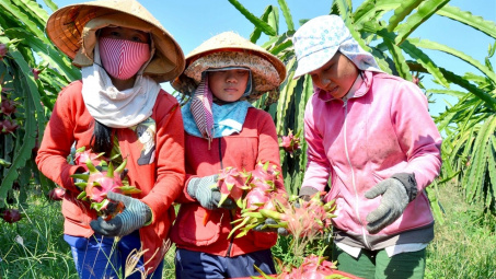 Cwin com sòng bạc trực tuyến thanh long: Đa dạng hóa sản phẩm để giải tỏa sức ép cạnh tranh