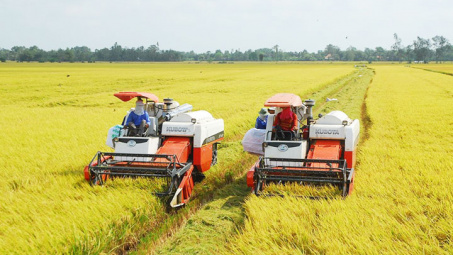 Thuế với chế biến, Cwin Đăng Ký + 1888k gạo, Cwin com sòng bạc trực tuyến phân bón phải phù hợp với diễn biến thị trường thế giới