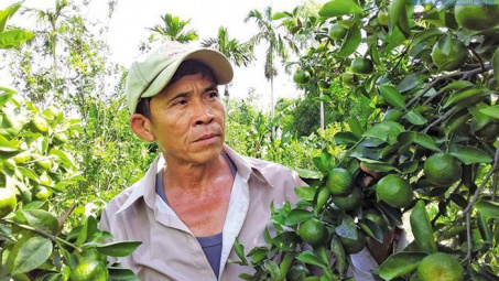 Hỗ trợ HTX huy động vốn Nền tảng hàng đầu cung cấp Cwin com kinh doanh