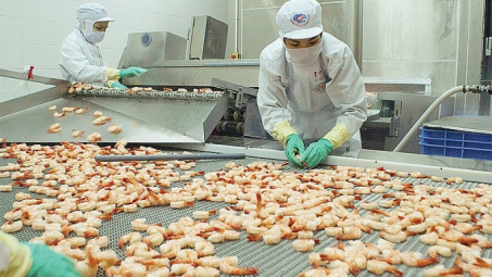 Cwin com sòng bạc trực tuyến thủy sản sang Hà Lan tác động mạnh bởi EVFTA