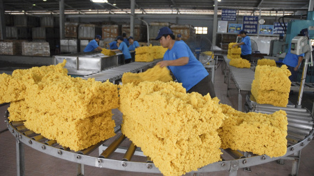Việt Nam - Thị trường cung cấp cao su tự nhiên lớn thứ 4 cho Hoa Kỳ