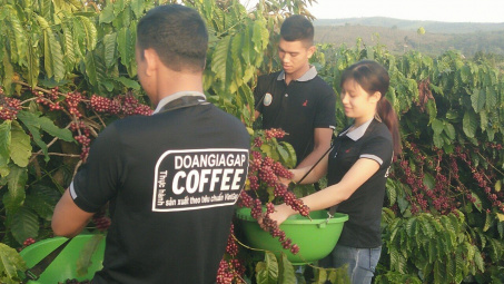 Đắk Nông: Tận dụng cơ hội Cwin Đăng Ký + 1888k  nông sản khi thực hiện Hiệp định EVFTA