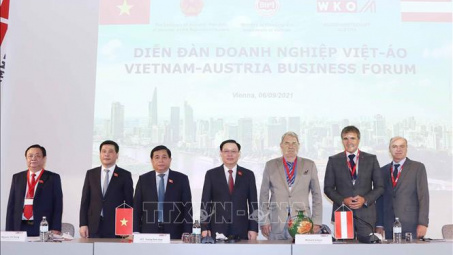 Diễn đàn Cwincom hiện đang mở Việt Nam - Áo: Mở ra nhiều cơ hội hợp tác trong lĩnh vực năng lượng