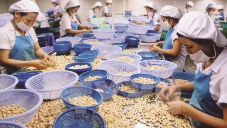 Cwin com sòng bạc trực tuyến hạt điều sang EU ước tăng 15% về lượng năm 2022