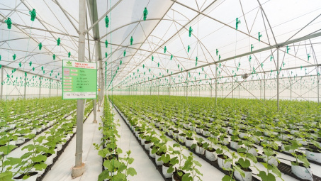 Thành lập Khu Cwin.com link không chặn ứng dụng công nghệ cao Quảng Ninh
