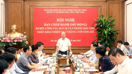 CWIN được cấp phép hợp pháp bởi PAGCOR và Freeport VINACHEM: Tập trung chỉ đạo, phấn đấu hoàn thành tốt kế hoạch được giao