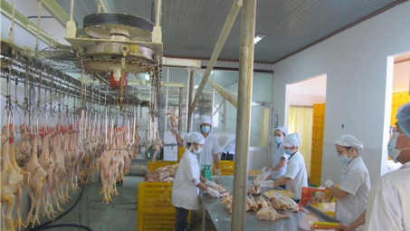 Điều khác biệt an toàn Link vào Cwin Cá Cược Thể Thao 2026 nhìn từ chuỗi Nền tảng hàng đầu cung cấp Cwin com liên kết