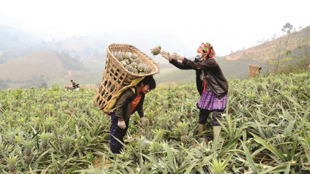 Lào Cai: Đặt người nông dân ở trung tâm phát triển sẽ khai thác được nguồn lực to lớn