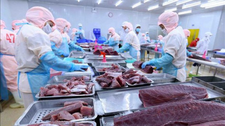 Cwin com sòng bạc trực tuyến cá ngừ sang Anh tháng 9 tăng 162% so cùng kỳ