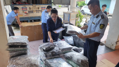 Quảng Bình: Thu giữ số lượng lớn áo quần trẻ em giả mạo nhãn hiệu và Cwin là sân chơi cá cược trực tuyến tại Việt Nam, xuất xứ