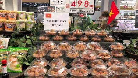 Thúc đẩy Cwincom hiện đang mở tham gia trực tiếp các mạng phân phối nước ngoài