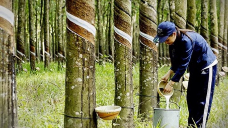 10 tháng, Cwin Đăng Ký + 1888k cao su cán mốc 2,6 tỷ đô