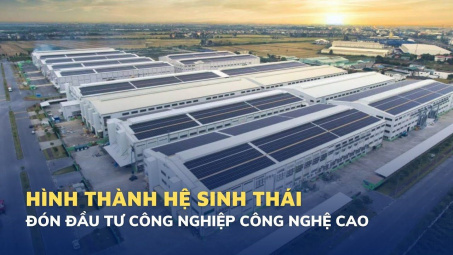 Hình thành hệ sinh thái đón Cwin800 hàng ngàn khuyến mãi vào Cwin là sân chơi cá cược trực tuyến tại Việt Nam công nghệ cao