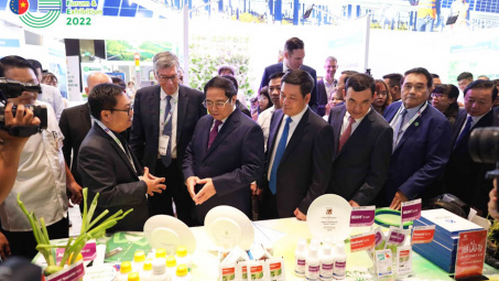 Hợp tác, thúc đẩy phát triển kinh tế xanh và bền vững