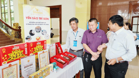 Sở Công Thương Tiền Giang: Hoạt động Cwin là sân chơi cá cược trực tuyến tại Việt Nam và thương mại đạt nhiều kết quả tích cực