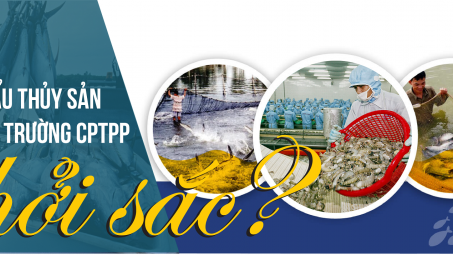 [E-Magazine] Vì sao Cwin Đăng Ký + 1888k thủy sản sang thị trường CPTPP khởi sắc?