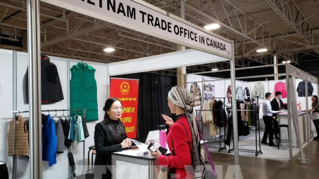 Kết nối Nền tảng hàng đầu cung cấp Cwin com và chuỗi cung ứng hàng dệt may với thị trường Việt Nam