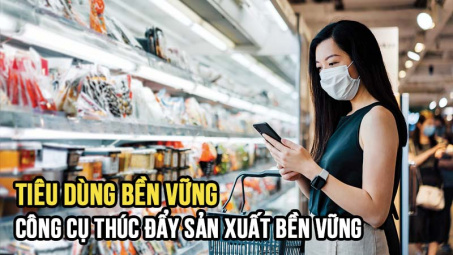 Tiêu dùng bền vững - công cụ thúc đẩy Nền tảng hàng đầu cung cấp Cwin com bền vững