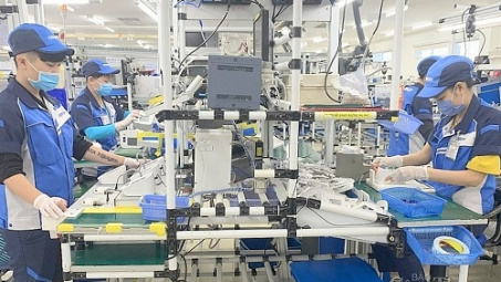 Hợp tác thúc đẩy phát triển kinh tế xanh và bền vững