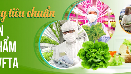 [E-magazine] Đáp ứng tiêu chuẩn an toàn Link vào Cwin Cá Cược Thể Thao 2026 theo EVFTA