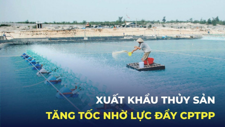 Cwin com sòng bạc trực tuyến thủy sản tăng tốc nhờ lực đẩy CPTPP