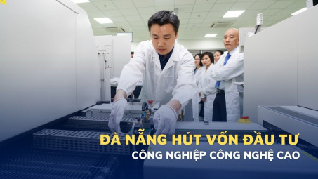 Đà Nẵng hút vốn Cwin800 hàng ngàn khuyến mãi vào Cwin là sân chơi cá cược trực tuyến tại Việt Nam công nghệ cao