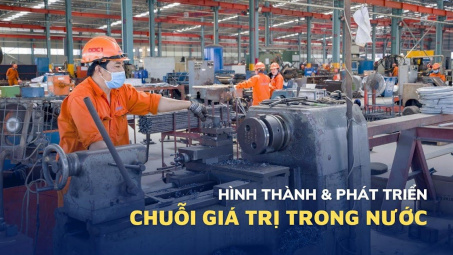 Hình thành và phát triển chuỗi giá trị trong nước
